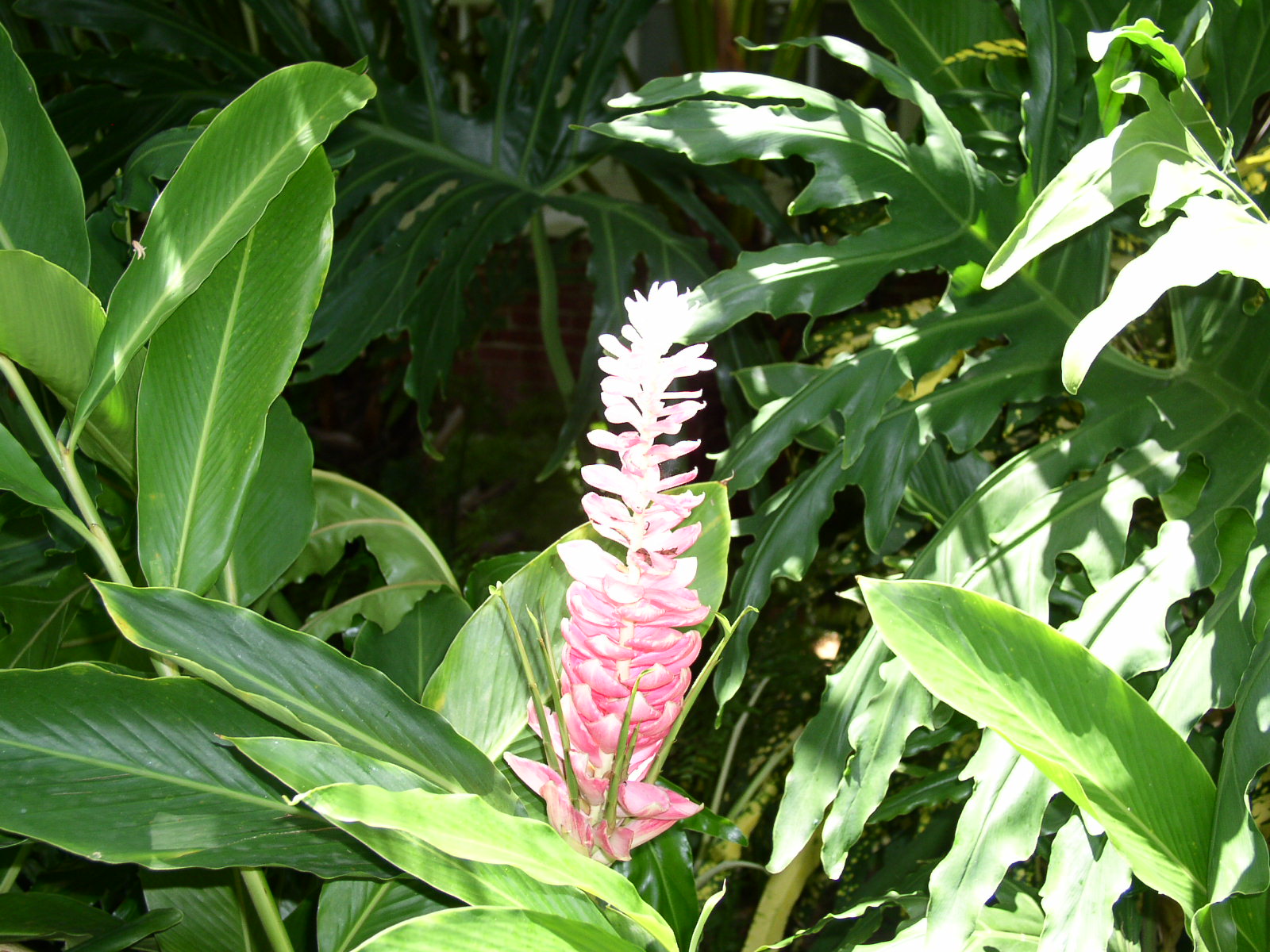 photo1